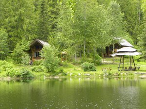 Room & Suite