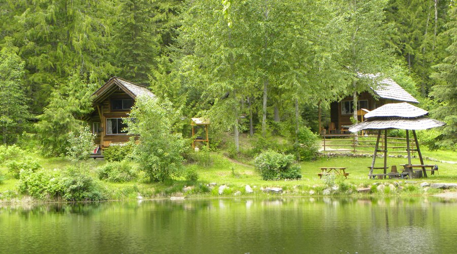 Deer and Bear cabins