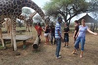 Nguuni Sanctuary (Mombasa) - 2021 All You Need to Know You Go (with Photos) - Tripadvisor