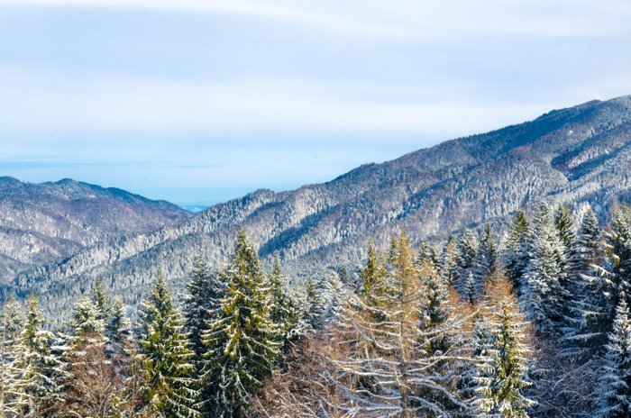 Carpathian mounts