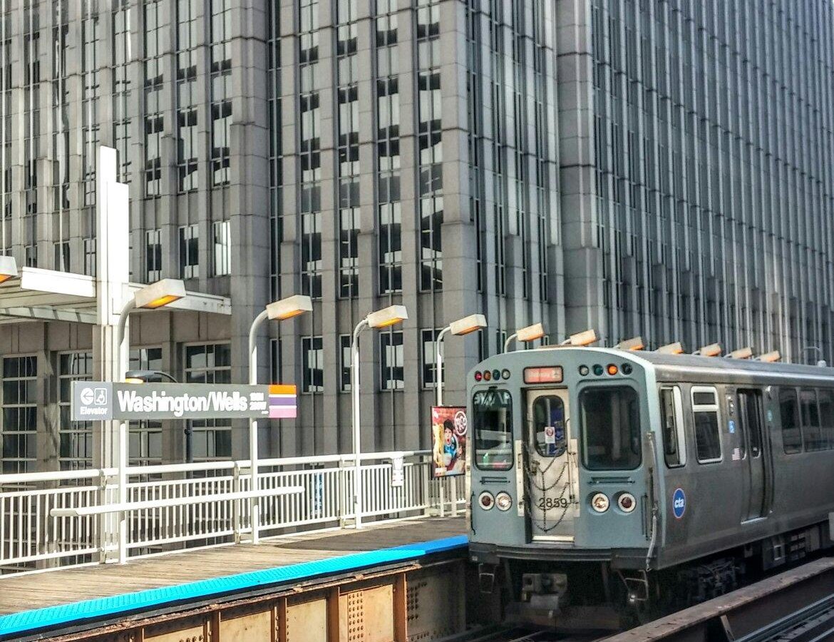 se permiten perros en los trenes del metro de chicago