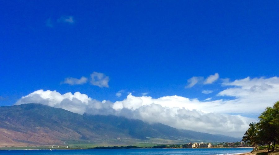 Go for a walk or take dip in the ocean just across the street!