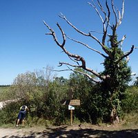 La fin du sentier