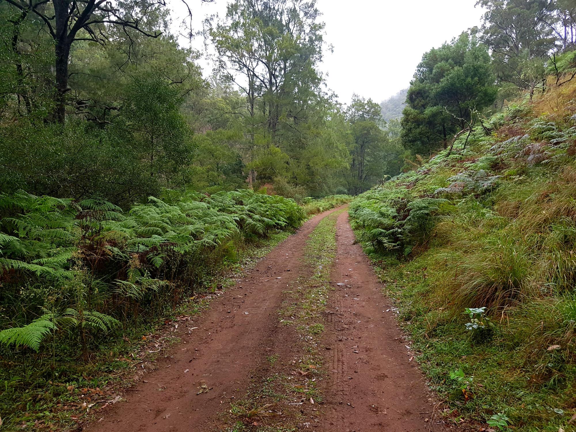 Six foot clearance track camping