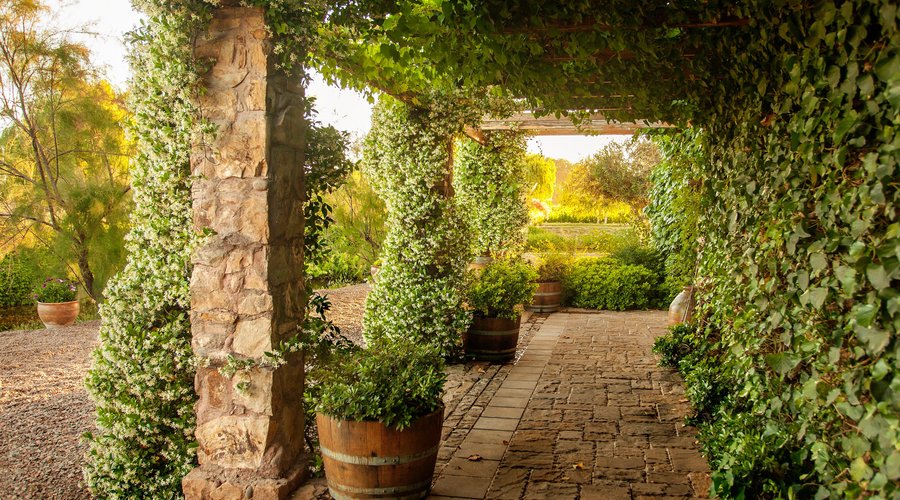 Winery Halls