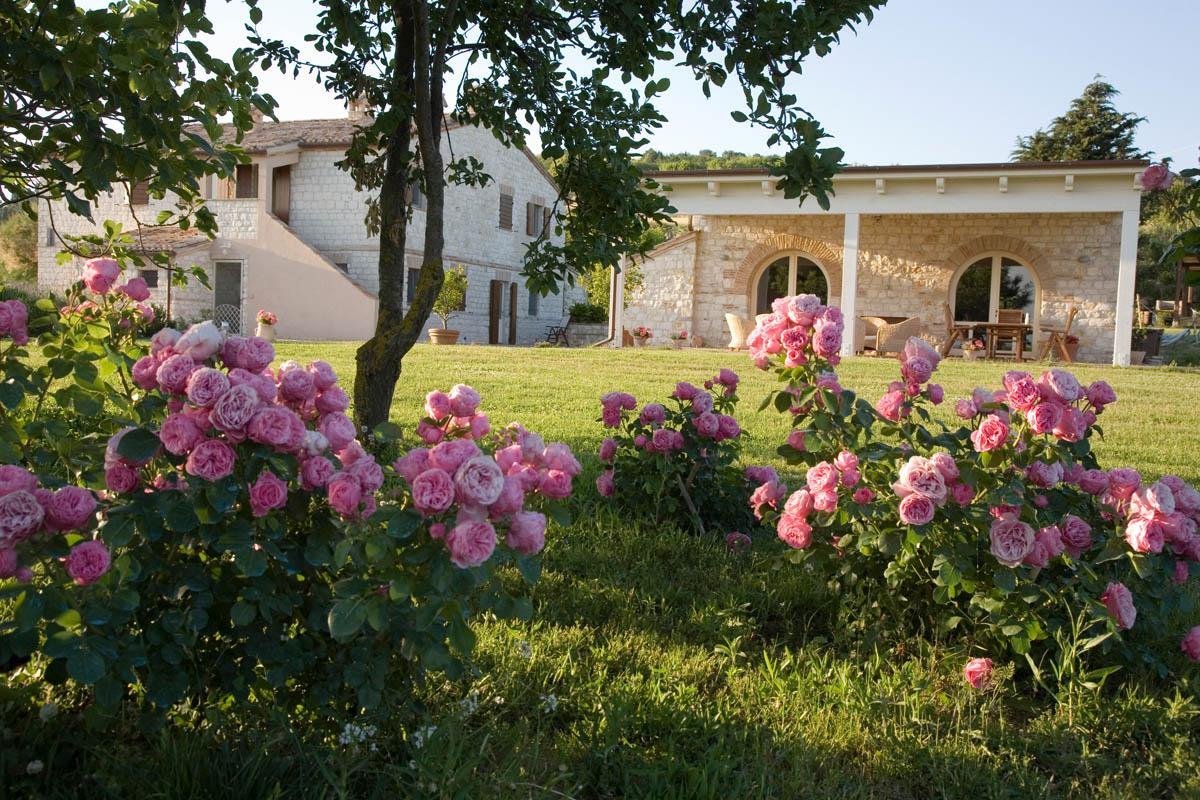 Acanto Country House by null
