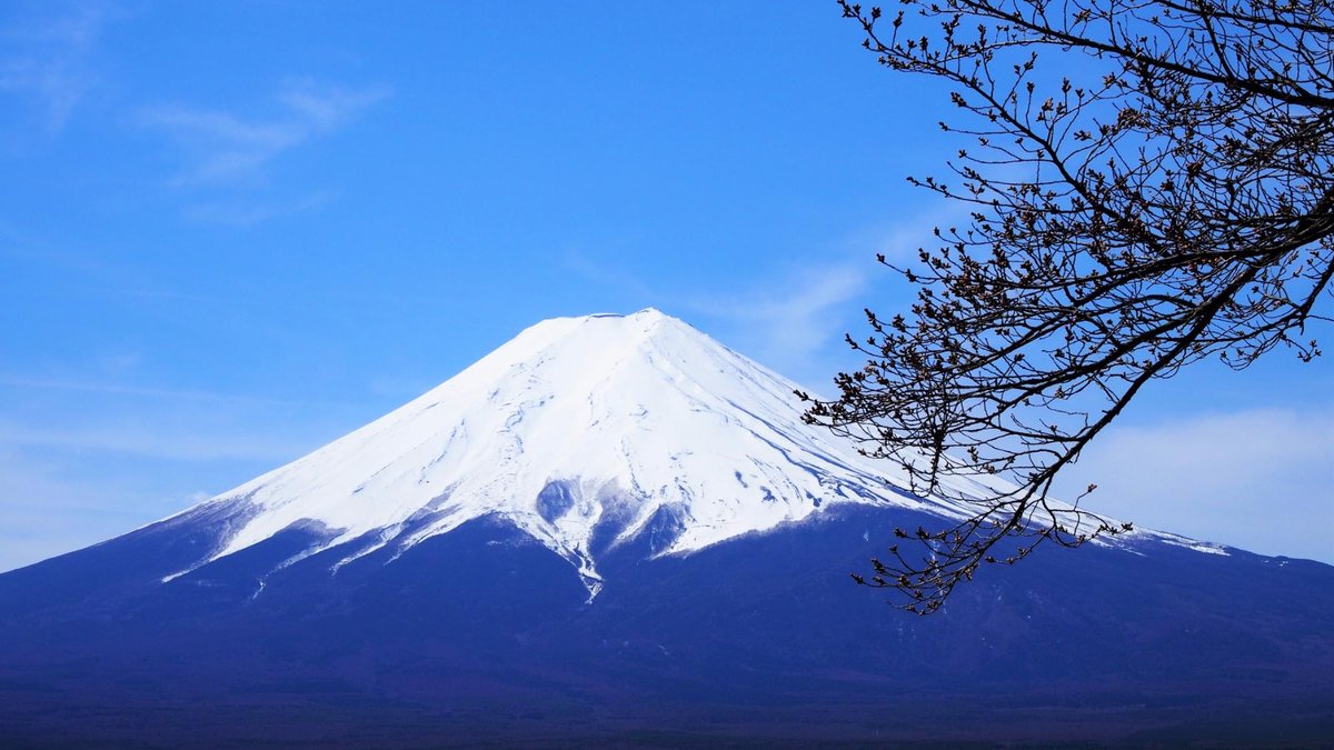 富士山 中部 旅游景点点评 Tripadvisor