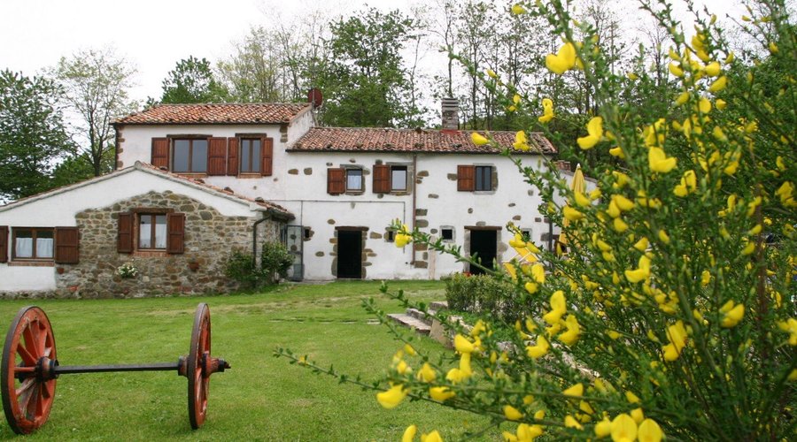 Fiori di maggio