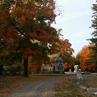 Aspen Grove October 2015