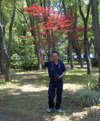 Ajehendro