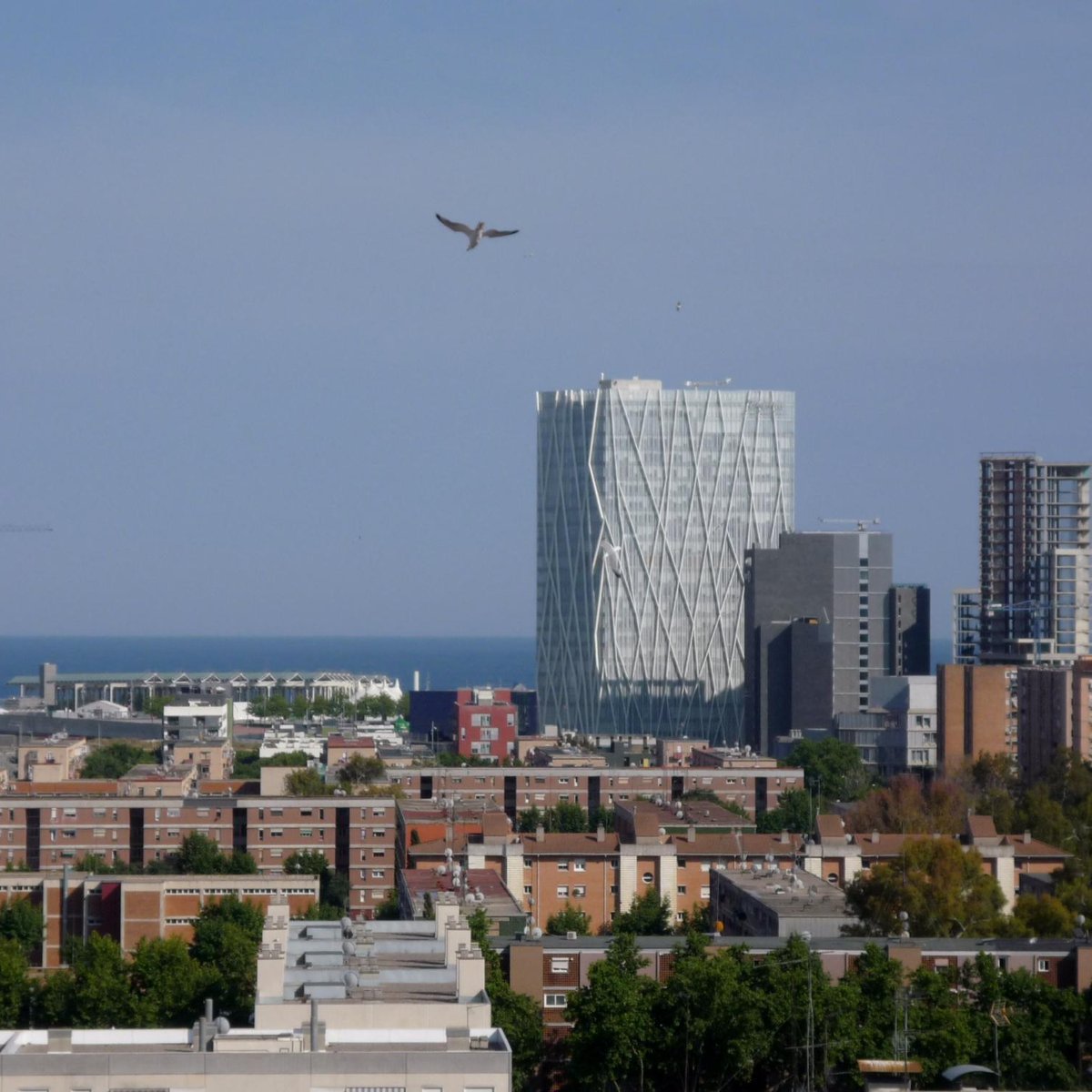 Edificio Telefonica Diagonal, Барселона: лучшие советы перед посещением -  Tripadvisor