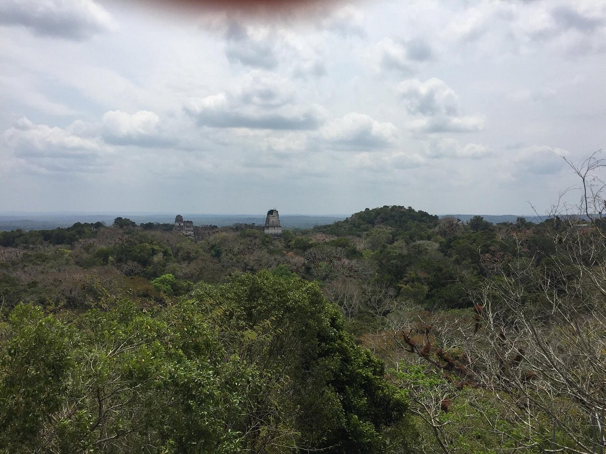 maya sky tour