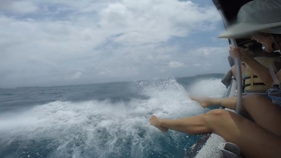 Enjoying the Ride