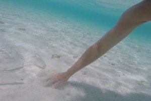 Pool & Beach