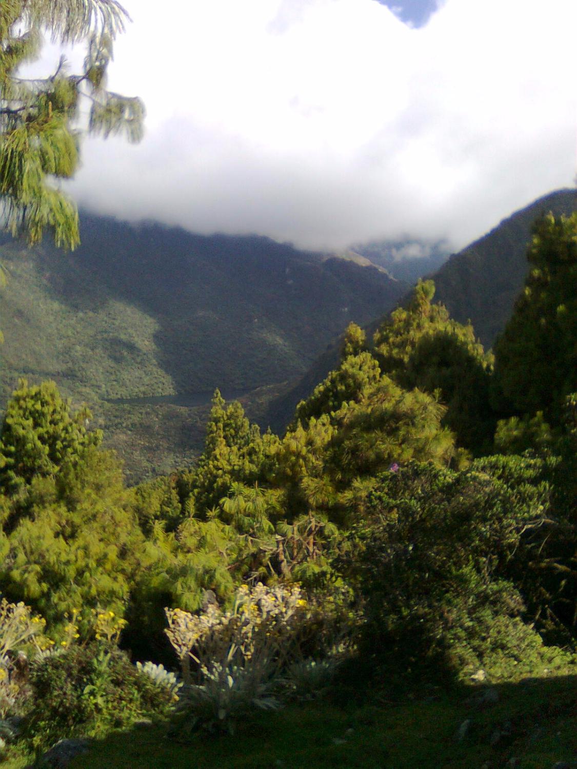 THE BEST Hotels In Sierra Nevada National Park Venezuela 2024   Camino Hacia La Laguna 