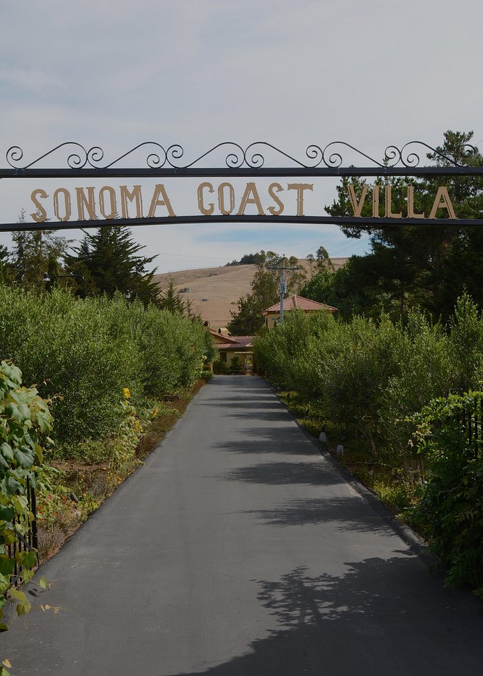 Sonoma Coast~Unparralled Ocean Front Views✨ - Sonoma County