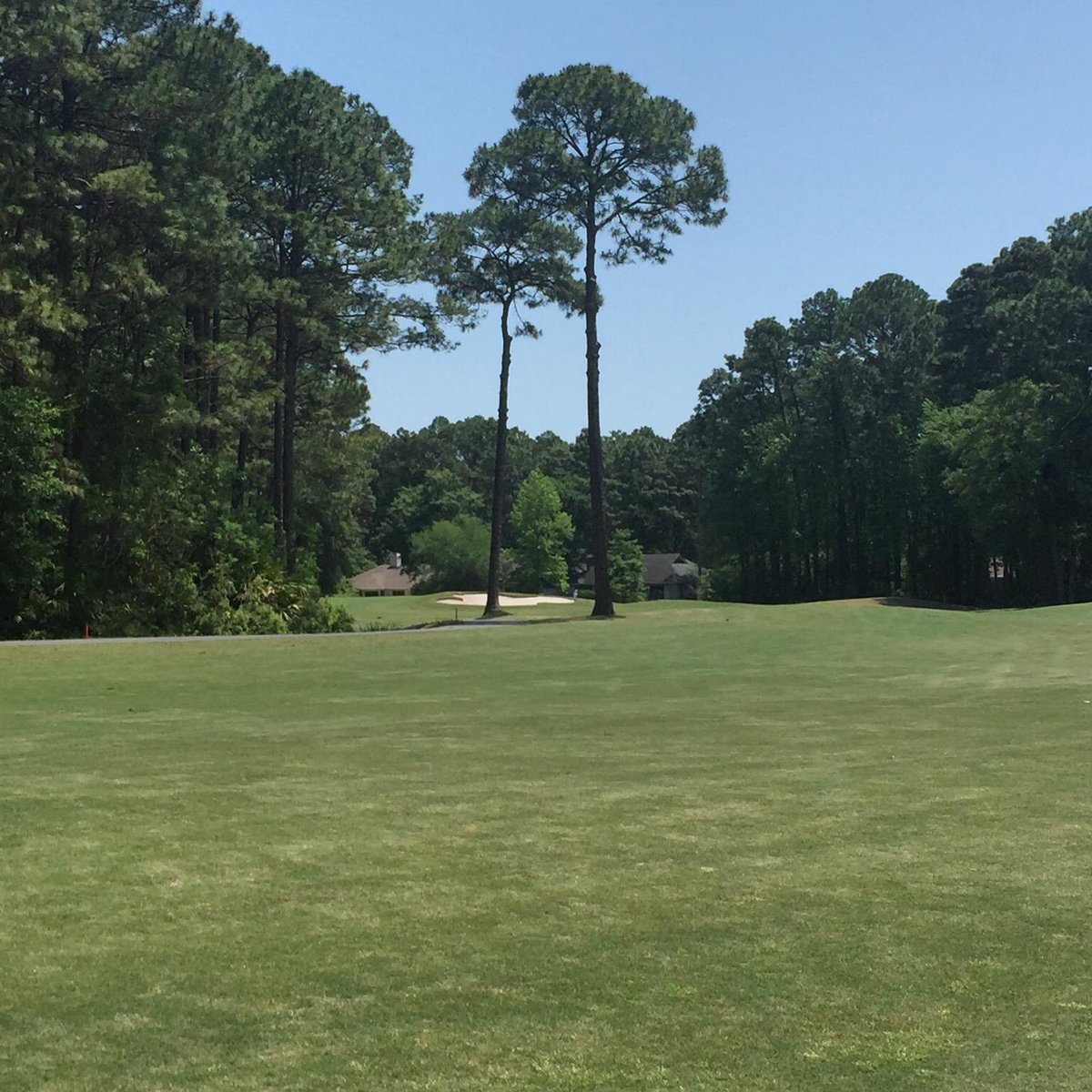 Dolphin Head Golf Club (Hilton Head, SC) anmeldelser Tripadvisor