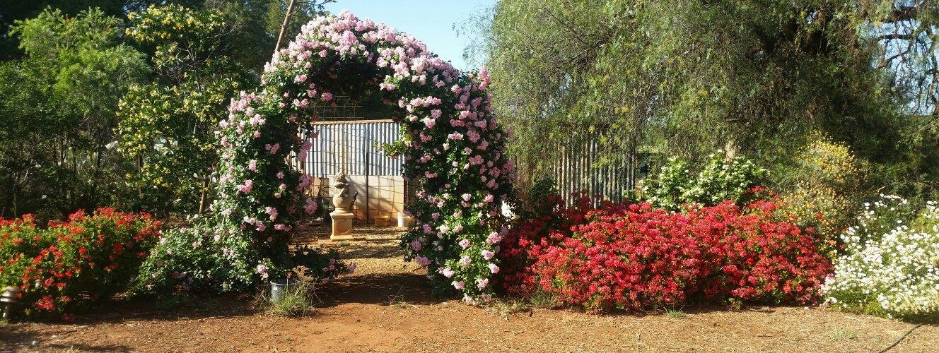 The garden looking good in spring.