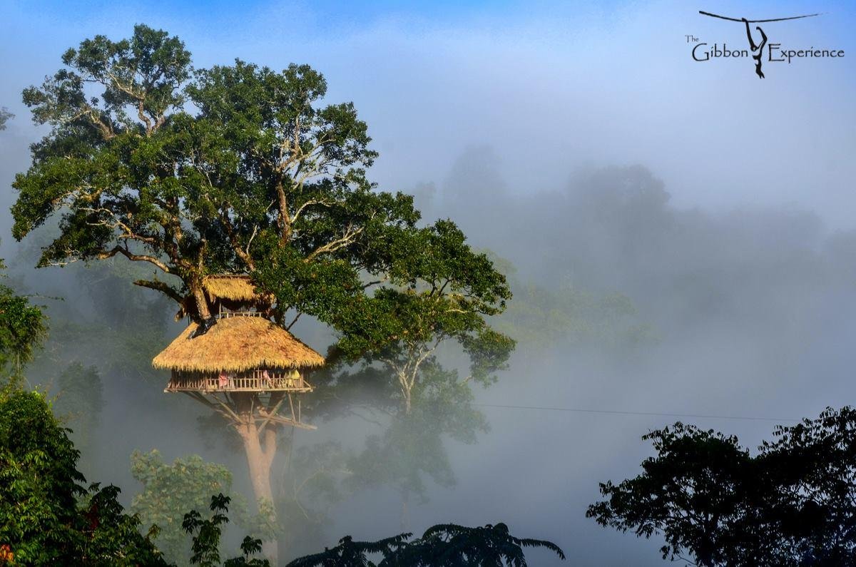 Треккинг The Gibbon Experience, Хуайсай: лучшие советы перед посещением -  Tripadvisor