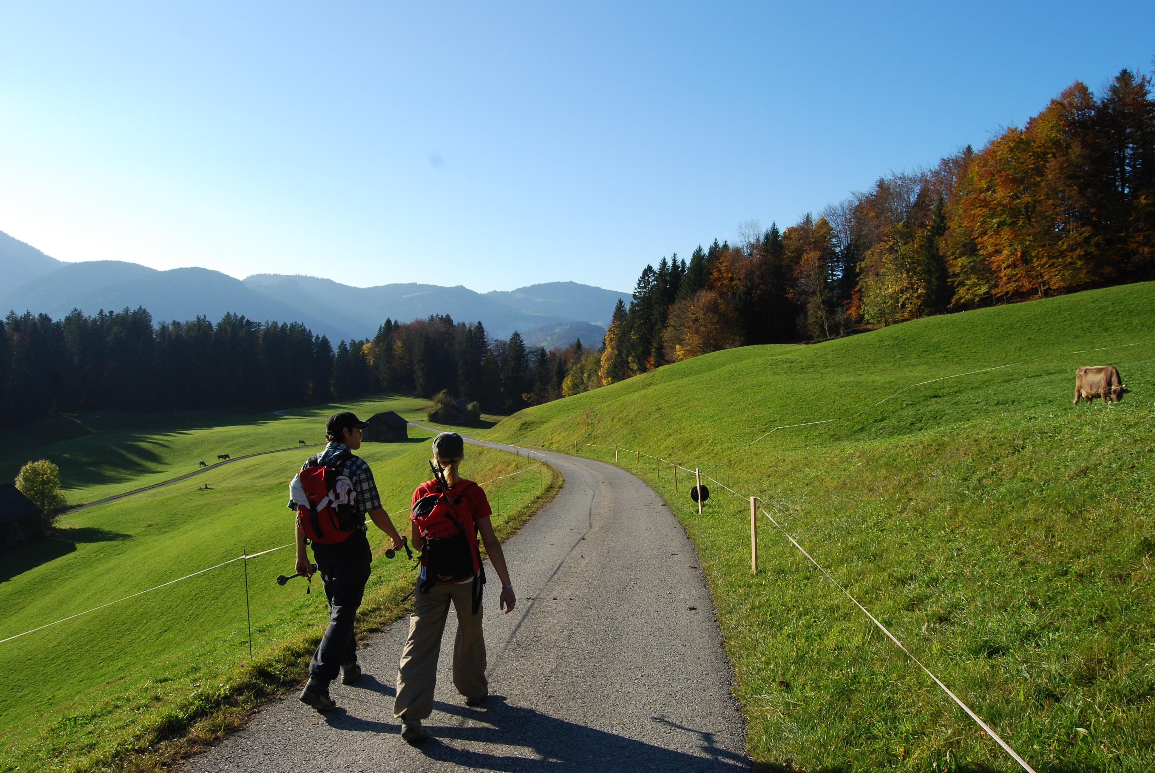 Hotel photo 13 of Berghaus Kanisfluh.