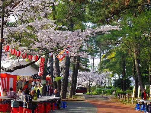 THE 5 BEST Outdoor Activities in Fukuoka (Updated 2023)