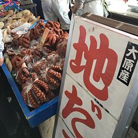 大原 港の朝一