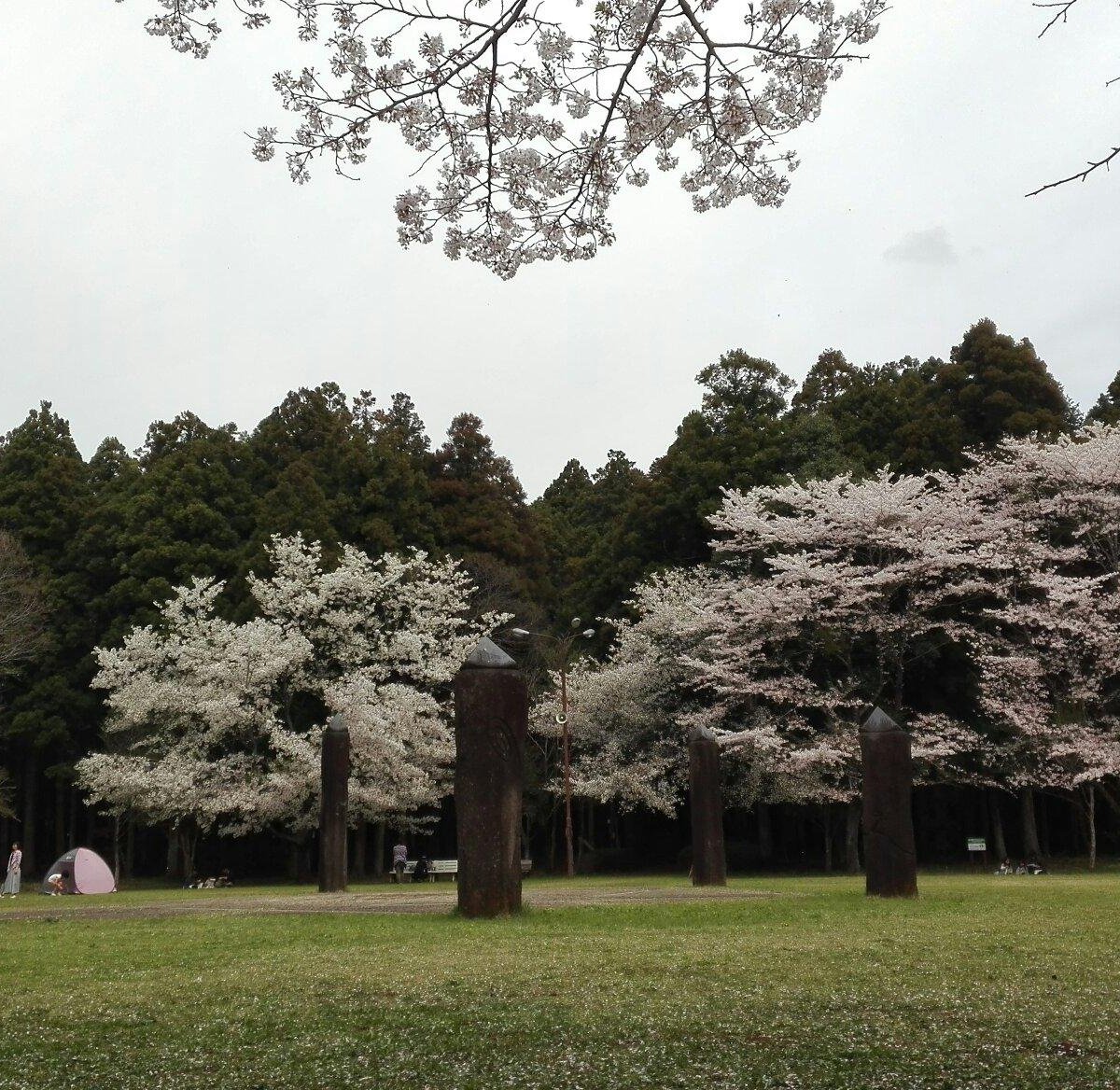 Ryugasaki Forest Park All You Need To Know Before You Go