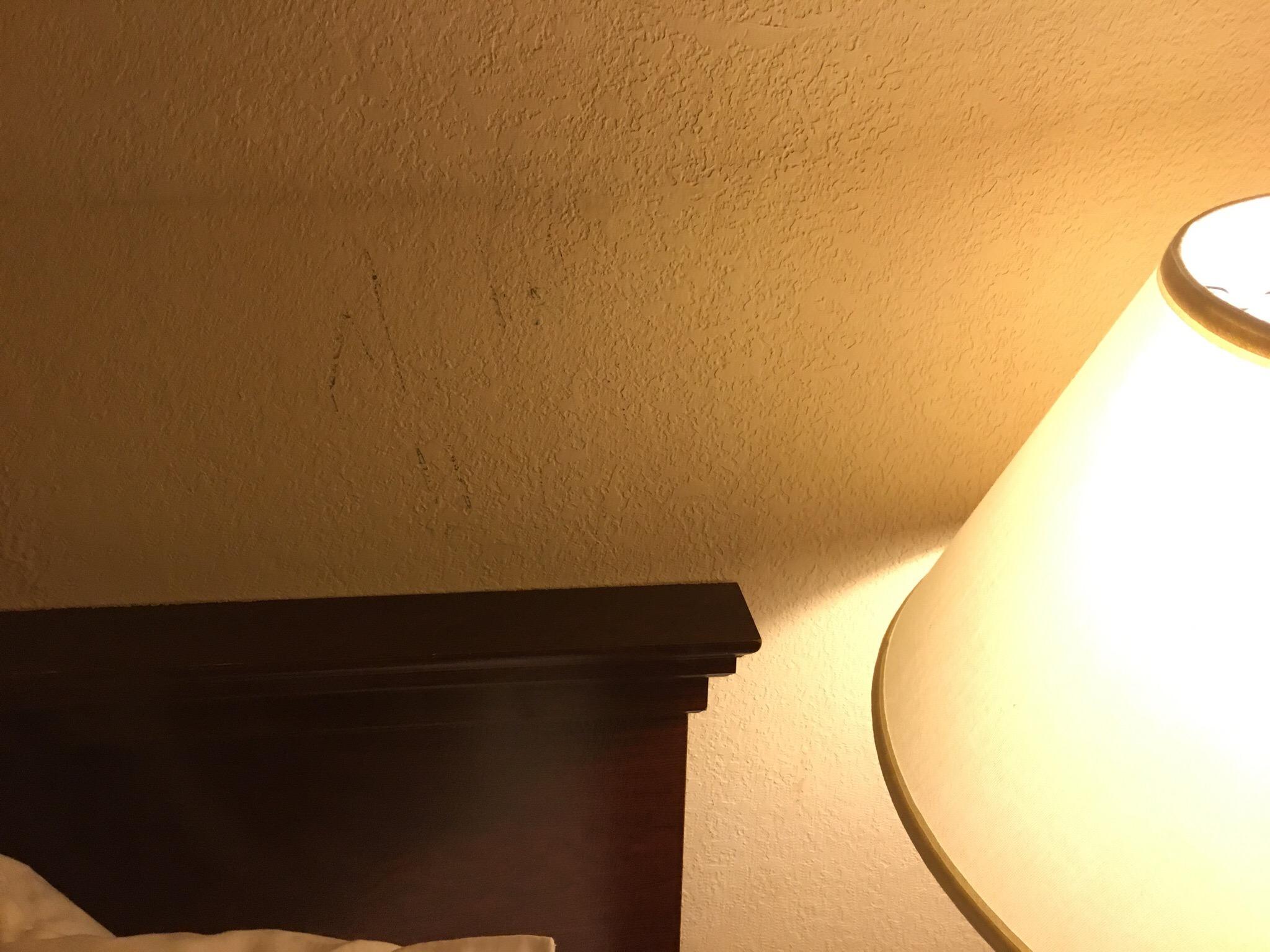 Hotel photo 31 of Best Western Winners Circle.