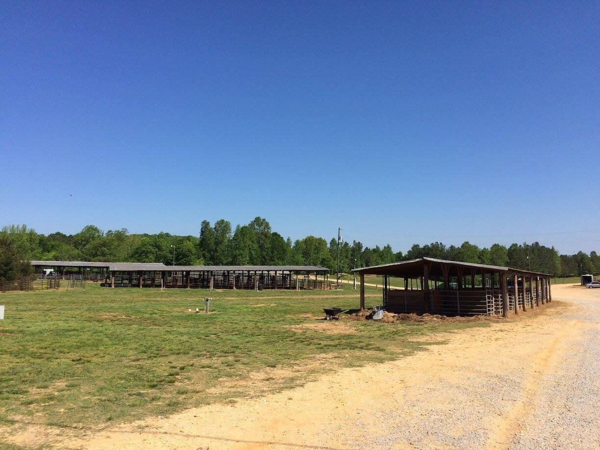 Seven springs sale horse camp