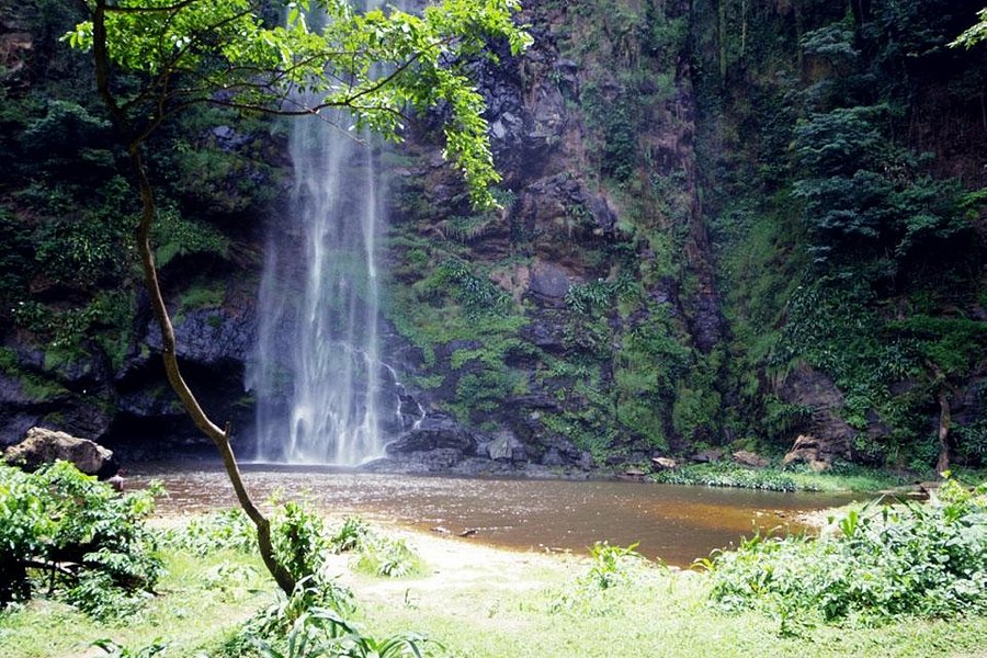 Wli Waterfalls image