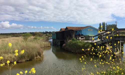 salinière