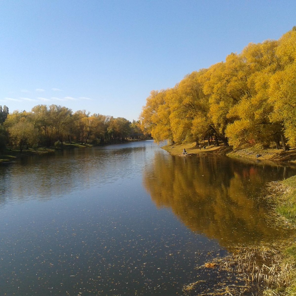 Белгородский городской парк культуры и отдыха им. В.И. Ленина, Белгород:  лучшие советы перед посещением - Tripadvisor