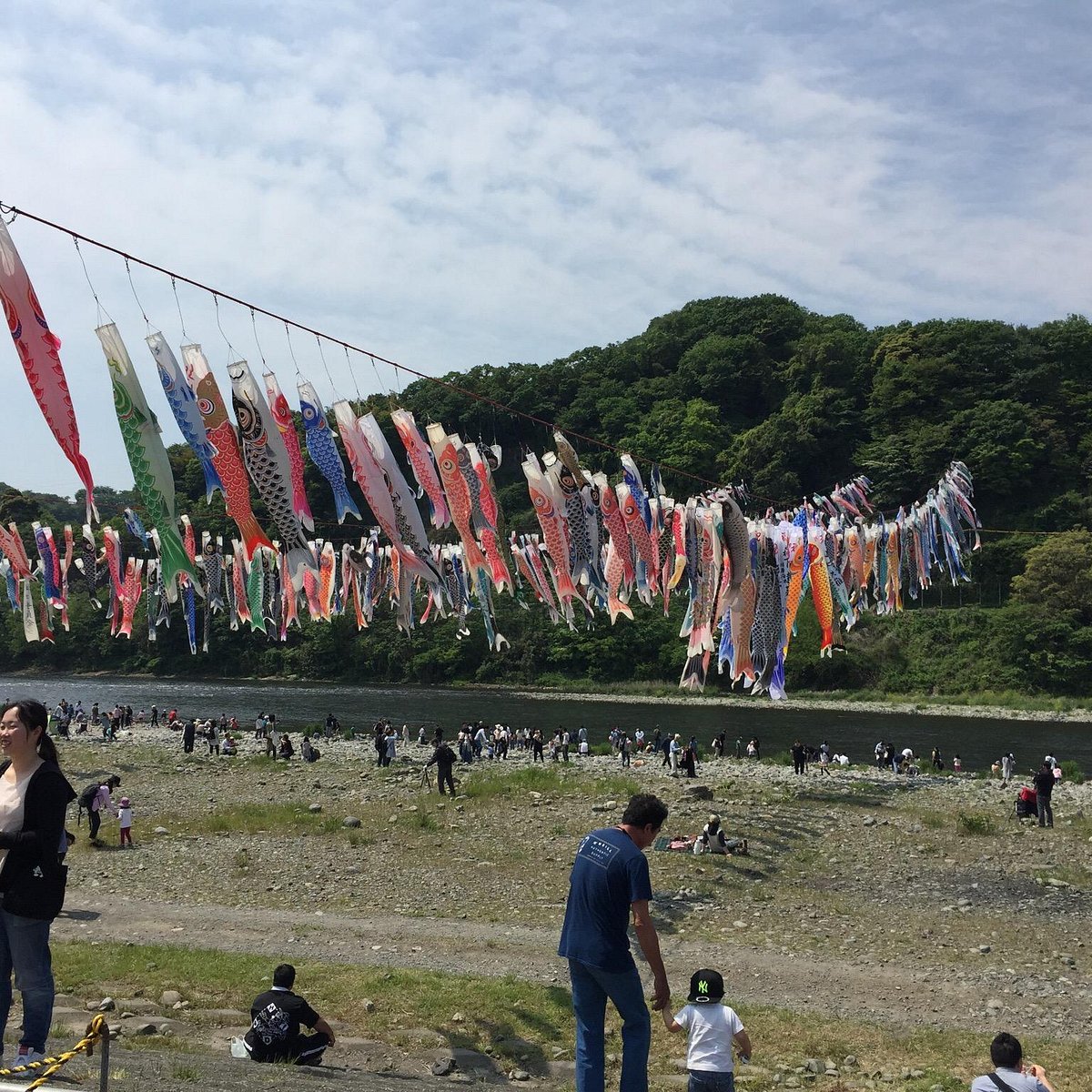 21年 泳げ鯉のぼり相模川 行く前に 見どころをチェック トリップアドバイザー