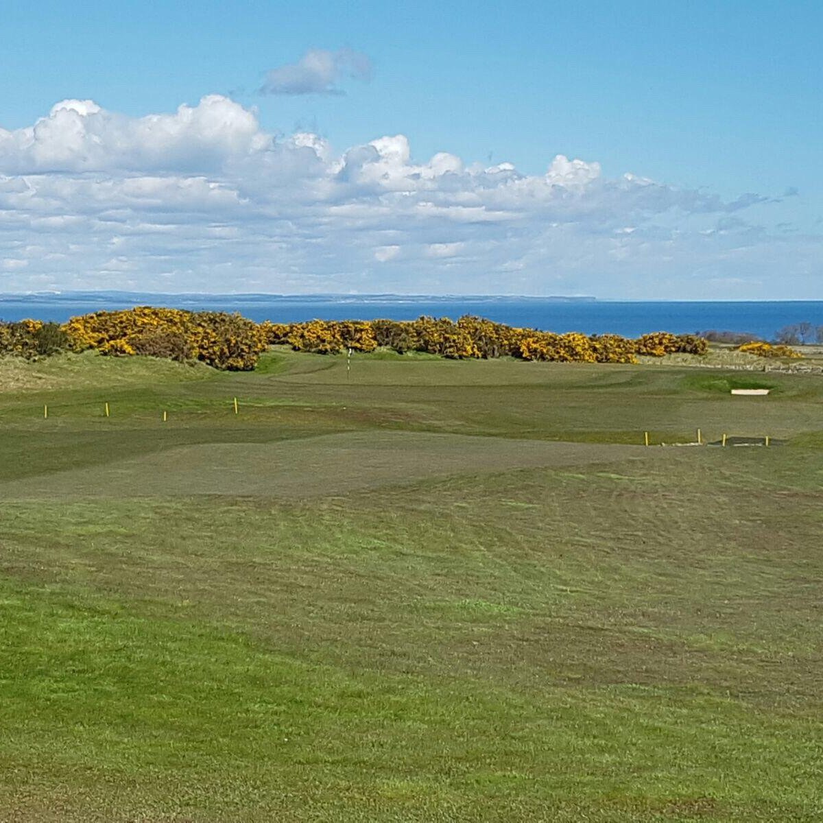 Torrance Course (St. Andrews) All You Need to Know BEFORE You Go