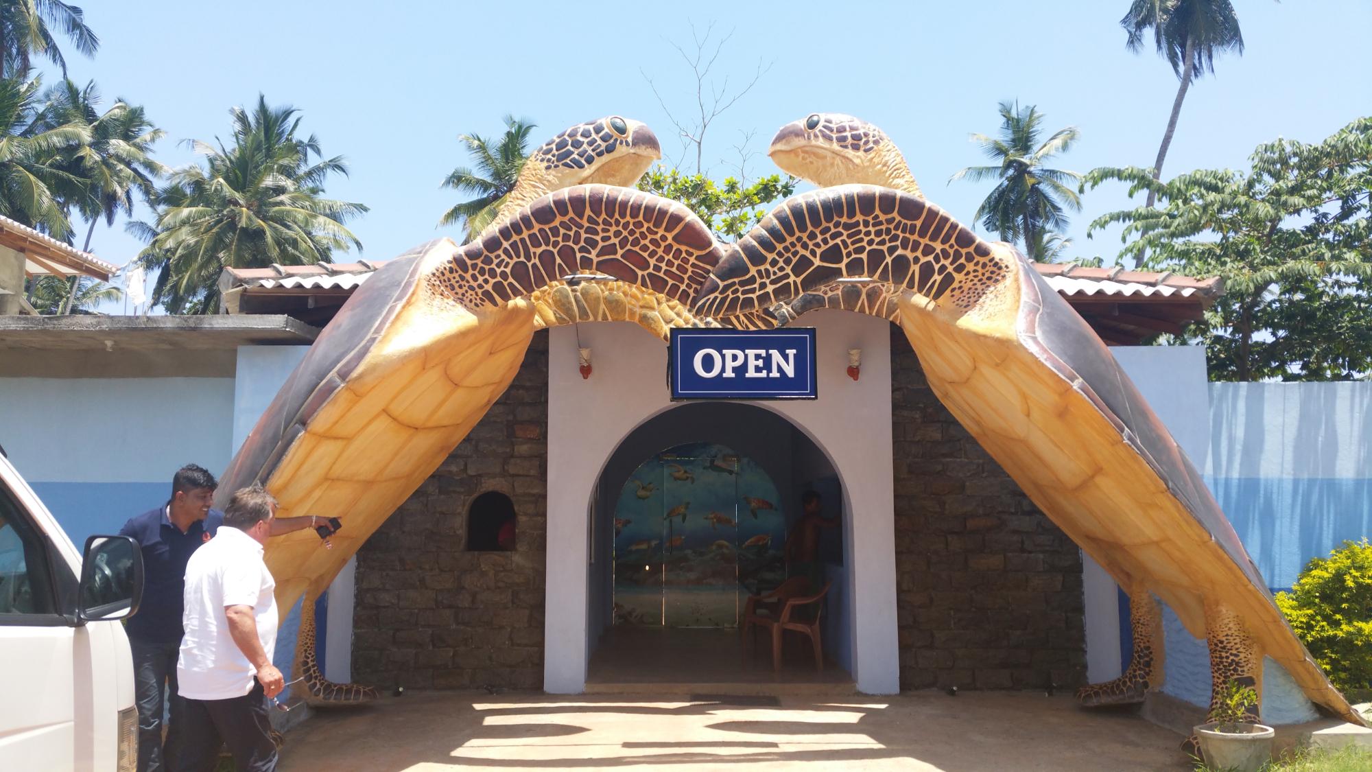 KOSGODA Turtle Conservation And Research Centre - 2022 Alles Wat U Moet ...