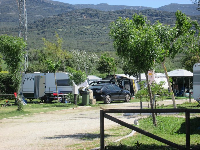 Imagen 15 de Camping Los Gazules