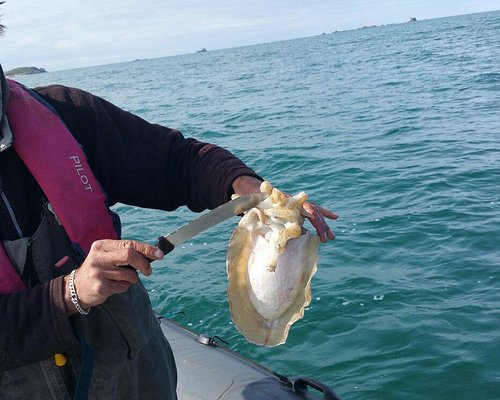 Prestations et Tarifs Pêche en Mer - Guide Pêche Bretagne