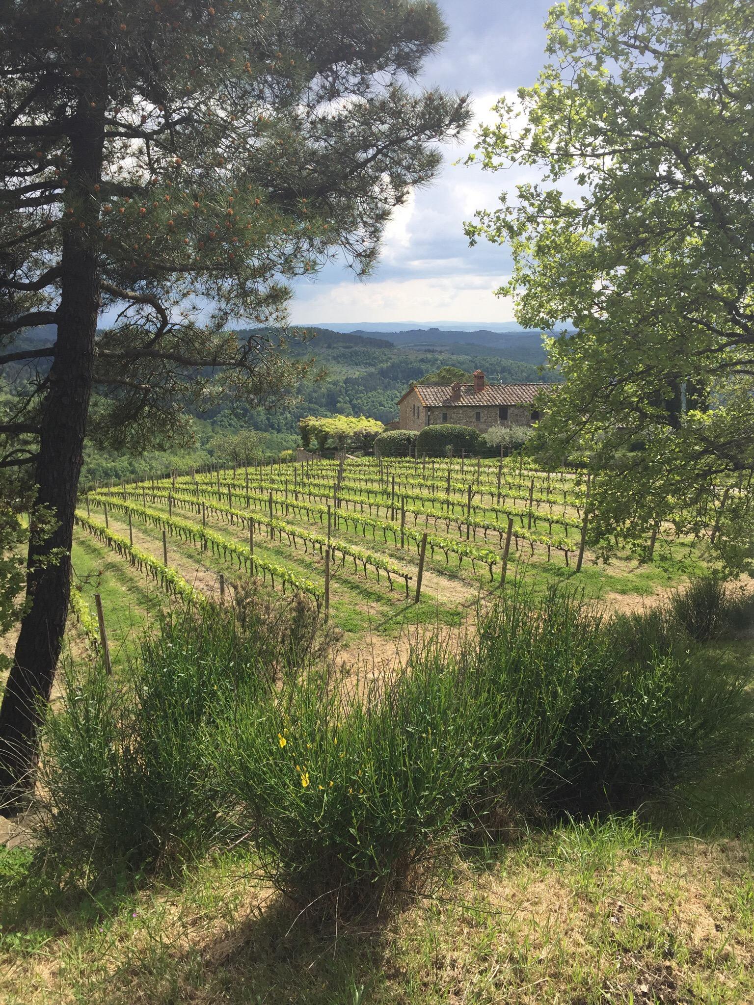 PODERE CIONA (Gaiole In Chianti): Tutto Quello Che C'è Da Sapere