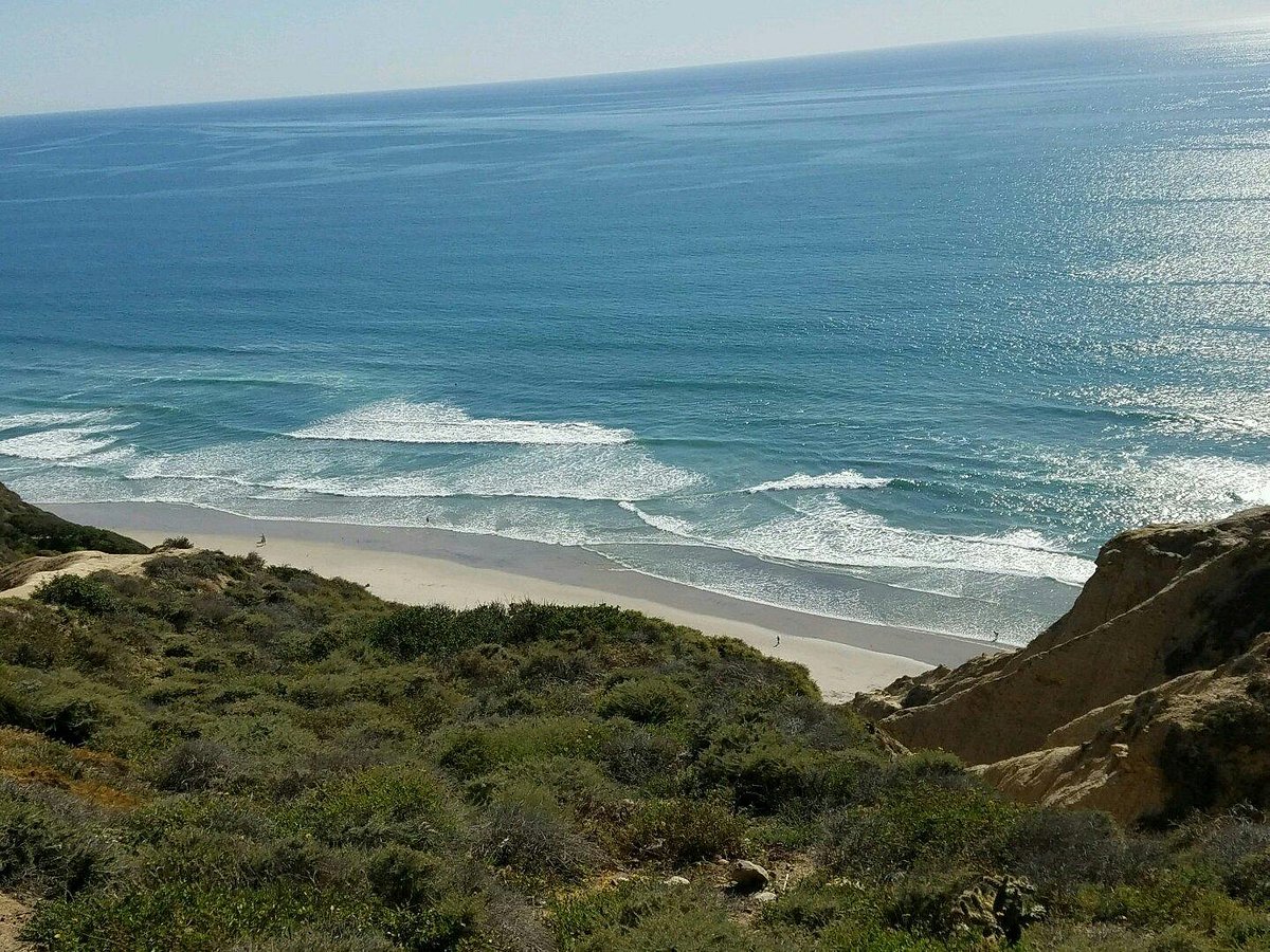 Natural Beach Sex - Black's Beach (San Diego) - All You Need to Know BEFORE You Go
