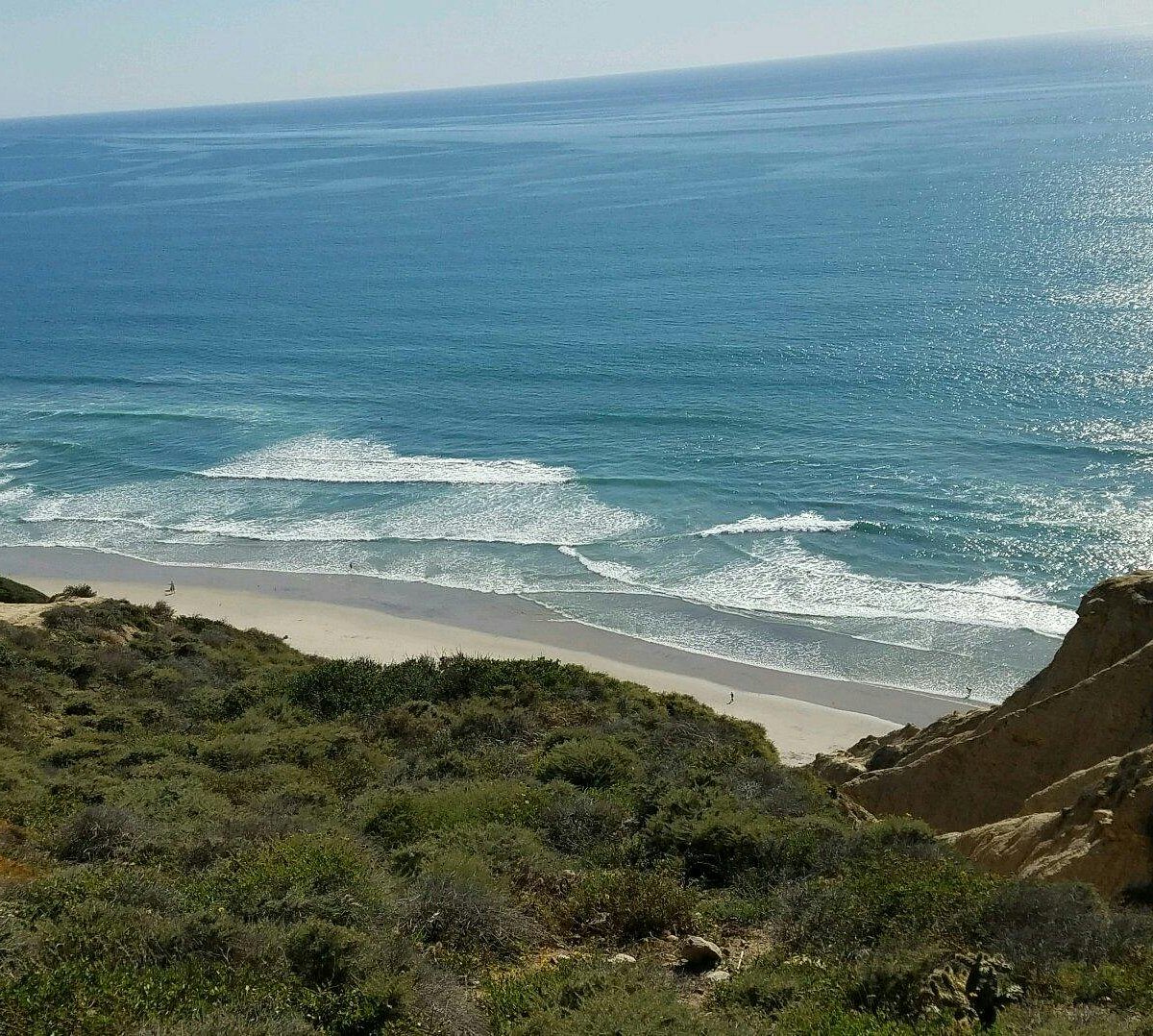 Black's Beach (San Diego) - All You Need to Know BEFORE You Go