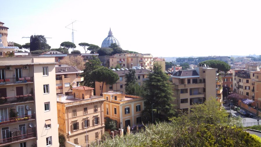 View of St. Peter's from our room!