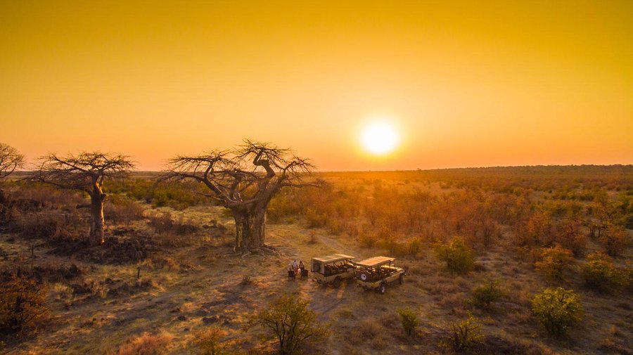 Sunset, Game Viewers & Baobab Trees