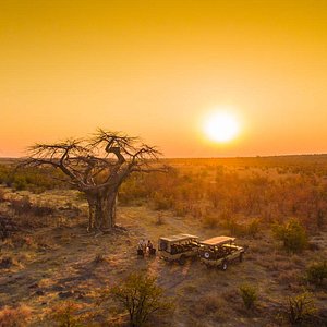 Sunset, Game Viewers & Baobab Trees