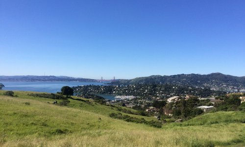 Tiburon, CA 2023: Best Places to Visit - Tripadvisor