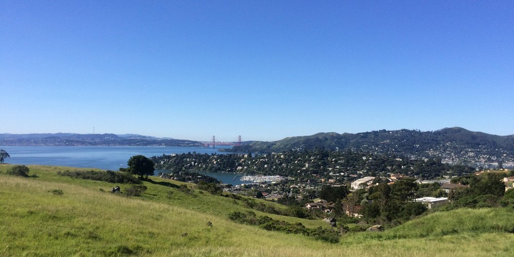 Tiburon, Ca 2024: Best Places To Visit - Tripadvisor