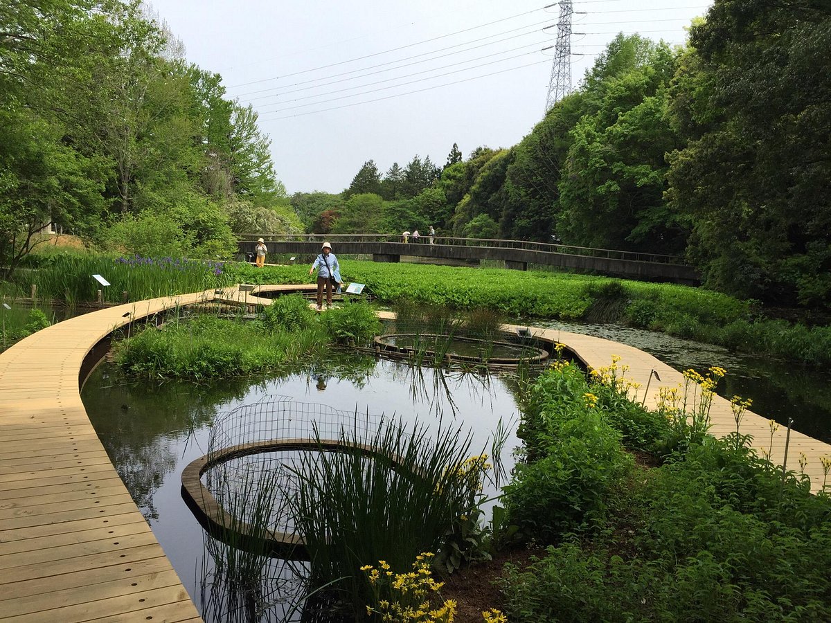 22年 筑波実験植物園 行く前に 見どころをチェック トリップアドバイザー