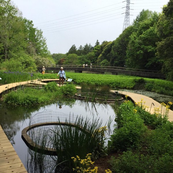 Tsukuba City Hanabatake Neighborhood Park - All You Need to Know BEFORE ...