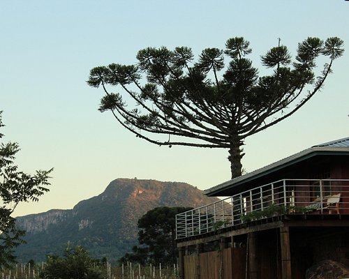 Duas vinícolas perto de Gramado que vão te surpreender