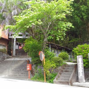 豊楽寺薬師堂 口コミ 写真 地図 情報 トリップアドバイザー