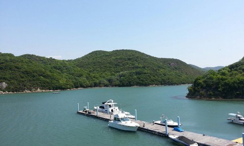 クルーザーで島巡り！